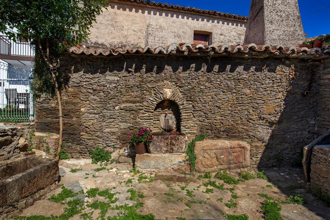 Apartamentos Rurales Cielo De Monfraguee マルパルティダ・デ・プラセンシア エクステリア 写真